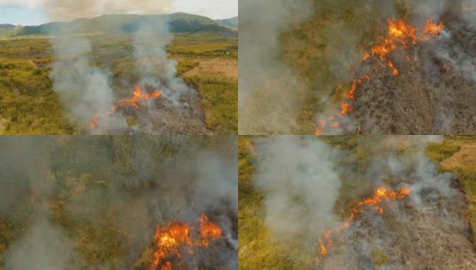 森林火灾。Busuanga,菲律宾巴拉望省高清在线视频素材下载