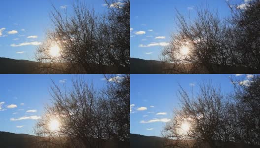 明媚的阳光穿过法国比利牛斯山的树枝高清在线视频素材下载