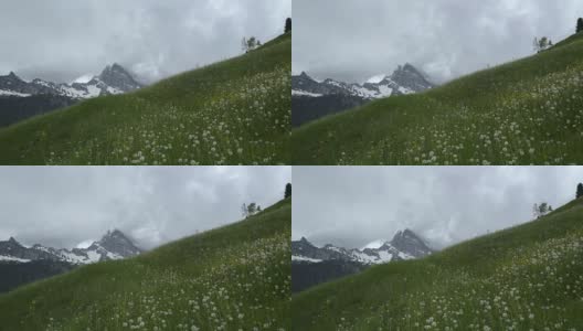 淘金-冰冻山顶的瑞士少女山高清在线视频素材下载