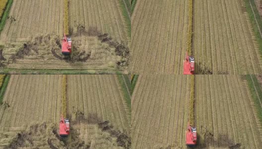 空撮　秋　農作業　米　収穫　稲刈り　男性高清在线视频素材下载