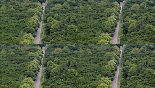 森林中道路的鸟瞰图高清在线视频素材下载