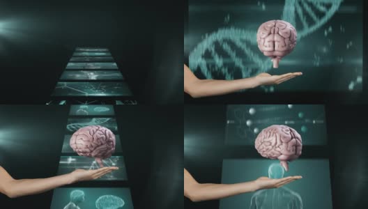 动画人类大脑旋转屏幕与科学数据处理高清在线视频素材下载