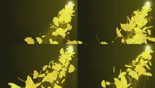 秋叶旋转，银杏，CG动画，循环高清在线视频素材下载