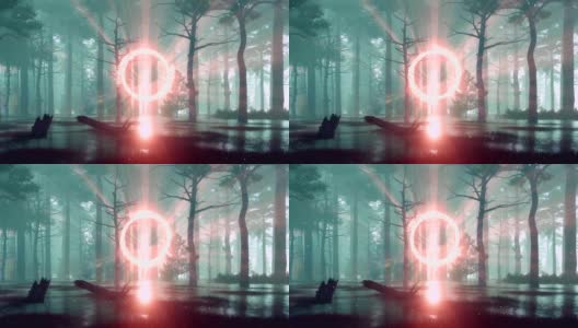 神秘雾蒙蒙的森林与另一个世界的门户在日落高清在线视频素材下载