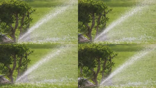 夏季花园用塑料喷灌机用水浇灌草坪。在旱季浇灌绿色植物，保持其新鲜。高清在线视频素材下载