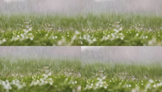 夏天，雨滴落在绿草上的特写高清在线视频素材下载