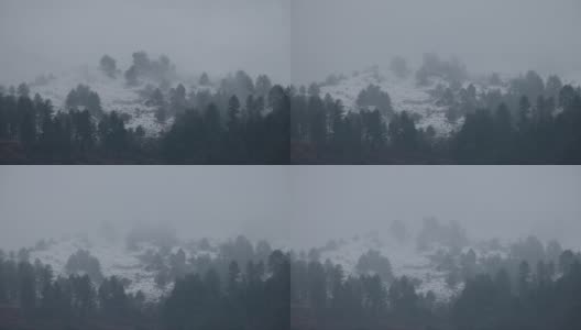 浓雾笼罩着刚被雪覆盖的冬季风景高清在线视频素材下载
