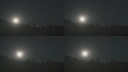 森林上空的月亮升起高清在线视频素材下载