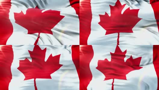 加拿大国旗在阳光下飘扬。无缝环与高度详细的织物纹理。循环准备4k分辨率。高清在线视频素材下载