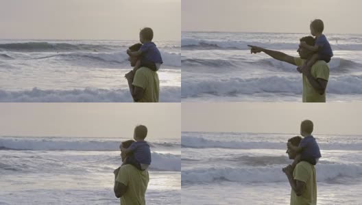 父亲和儿子看海浪高清在线视频素材下载
