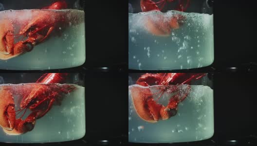 4k水煮龙虾玻璃锅高清在线视频素材下载