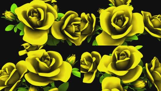 黑色背景上的黄色玫瑰花束高清在线视频素材下载
