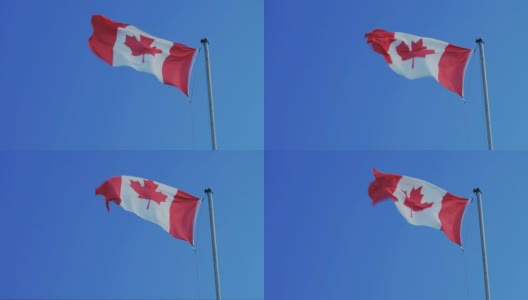 蓝天下的加拿大国旗高清在线视频素材下载