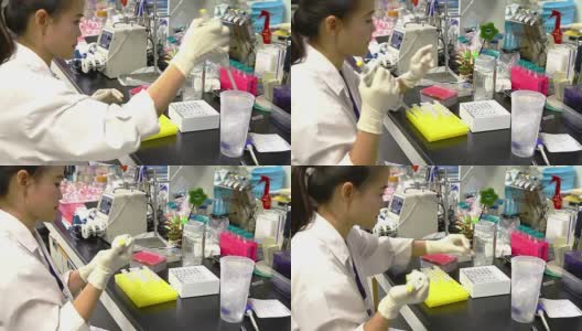 女科学家准备蛋白质样本高清在线视频素材下载
