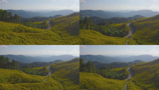 鸟瞰图万寿菊或黄花在国家花园公园和山在Mae Hong Son，泰国。旅游度假中的自然景观。Doi Mae U Kho的Thung Bua Tong。高清在线视频素材下载