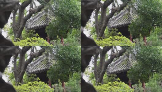 在园林中，中国传统的装饰设计高清在线视频素材下载