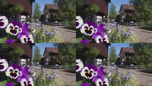 在乌尔多夫传统斯坦霍夫酒店前的花卉装饰高清在线视频素材下载