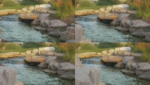 多莉拍摄的小溪与河流巨石和植物高清在线视频素材下载