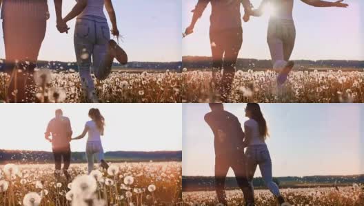 一对快乐的夫妇在蒲公英草地上奔跑高清在线视频素材下载