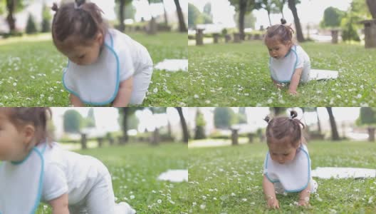 一个一岁的小女孩，在一个公园里长满鲜花的草地上学习爬行高清在线视频素材下载