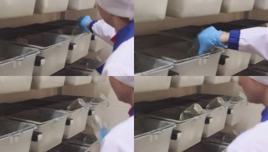 在笼中饲养实验小白鼠。实验室高清在线视频素材下载