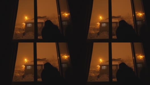女性剪影从窗口观看雪花飘落的夜晚高清在线视频素材下载