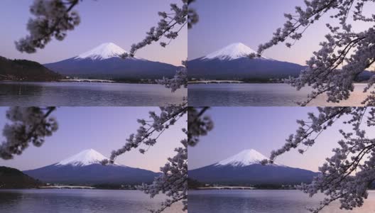 日本美丽的风景富士山樱花盛开高清在线视频素材下载
