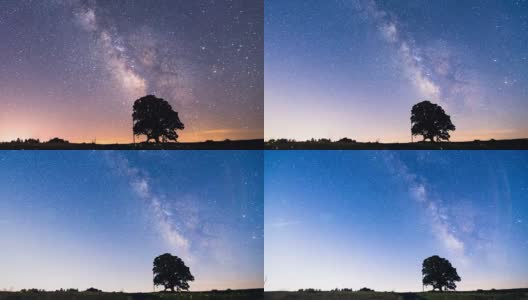 银河和一棵树高清在线视频素材下载