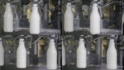 在牛奶公司的生产线上白色塑料奶瓶的镜头，瓶子被填充，密封和将要贴标签高清在线视频素材下载