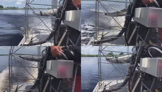 佛罗里达短吻鳄飞艇之旅高清在线视频素材下载
