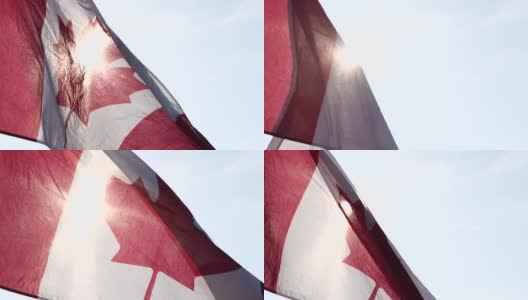 加拿大国旗迎风迎太阳的自然背景与软焦点，慢动作。加拿大日的概念，国旗，北美，枫叶旗。高清在线视频素材下载