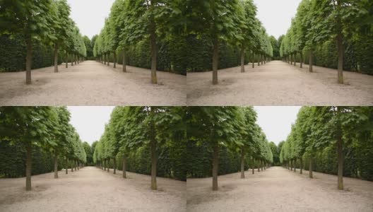奥地利维也纳的夏季公园高清在线视频素材下载