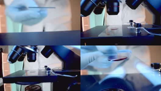 SLO MO管镜头拍摄，将显微镜载玻片放入显微镜高清在线视频素材下载