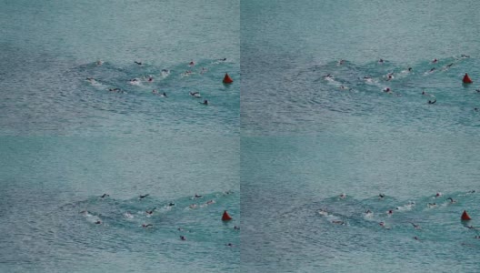 慢动作游泳运动员在热带，圣约翰，维尔京群岛高清在线视频素材下载