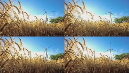 风车在黄土地上为发电生产小麦高清在线视频素材下载