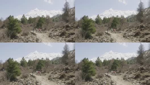 导游带领的游客正在尼泊尔马纳斯鲁地区的喜马拉雅山徒步旅行。高清在线视频素材下载
