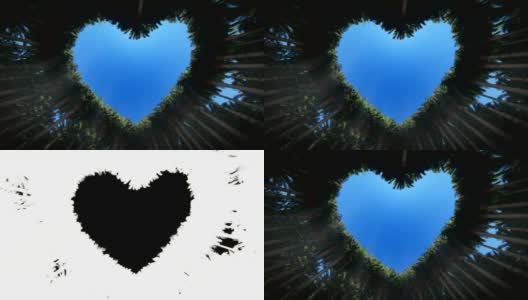 透过棕榈树的心脏向上看，Luma哑光附加，高清高清在线视频素材下载