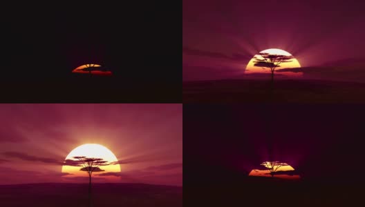 大太阳在非洲升起高清在线视频素材下载