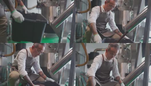 亚洲华人高级技工收集和检查烘烤咖啡豆后，从冷却过程和去石在他的工厂落入桶高清在线视频素材下载