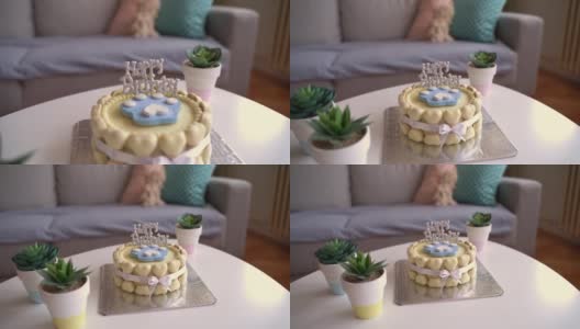 狗的生日蛋糕高清在线视频素材下载