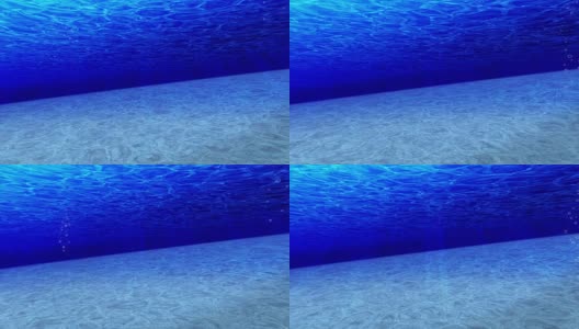 海洋潜水，海底潜水，循环动画，高清在线视频素材下载