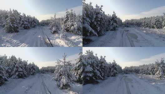 航拍冬雪针叶林的圣诞森林高清在线视频素材下载