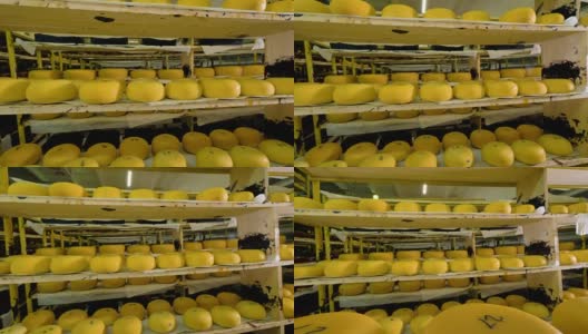 奶酪工厂储存着大量的奶酪。高清在线视频素材下载