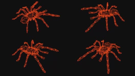 蜘蛛线框模型-三维渲染高清在线视频素材下载
