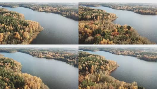 鸟瞰图秋季混交林周围的河流或湖泊。高清在线视频素材下载