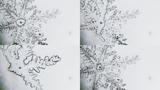透明的雪花在显微镜下融化高清在线视频素材下载