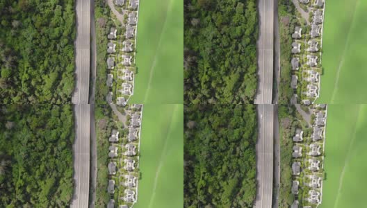 森林和湖泊俯视图(实时)高清在线视频素材下载