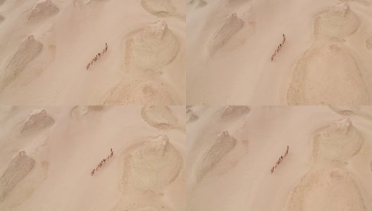 骆驼队地形地貌为风蚀地貌、雅丹地貌。高清在线视频素材下载