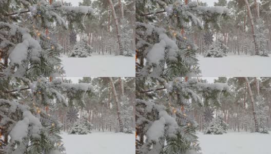 圣诞灯和雪花装饰在冬季公园的冷杉树上高清在线视频素材下载