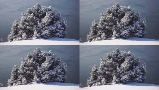 雪和冰下的杜松树枝和球果，在阴天下雪天。雪后霜冻的冬天。大自然永无止境的美丽。雪下的杜松子高清在线视频素材下载